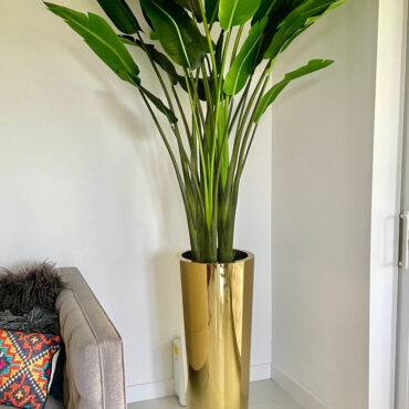 Tall Bird of Paradise in Gold Cone Luxury Planter