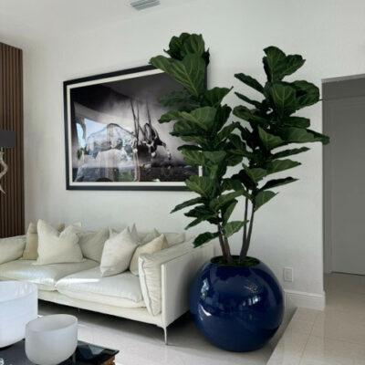 Luxury Artificial Fiddle Leaf Fig – Gloss Deep Blue Sphere Vase Edition