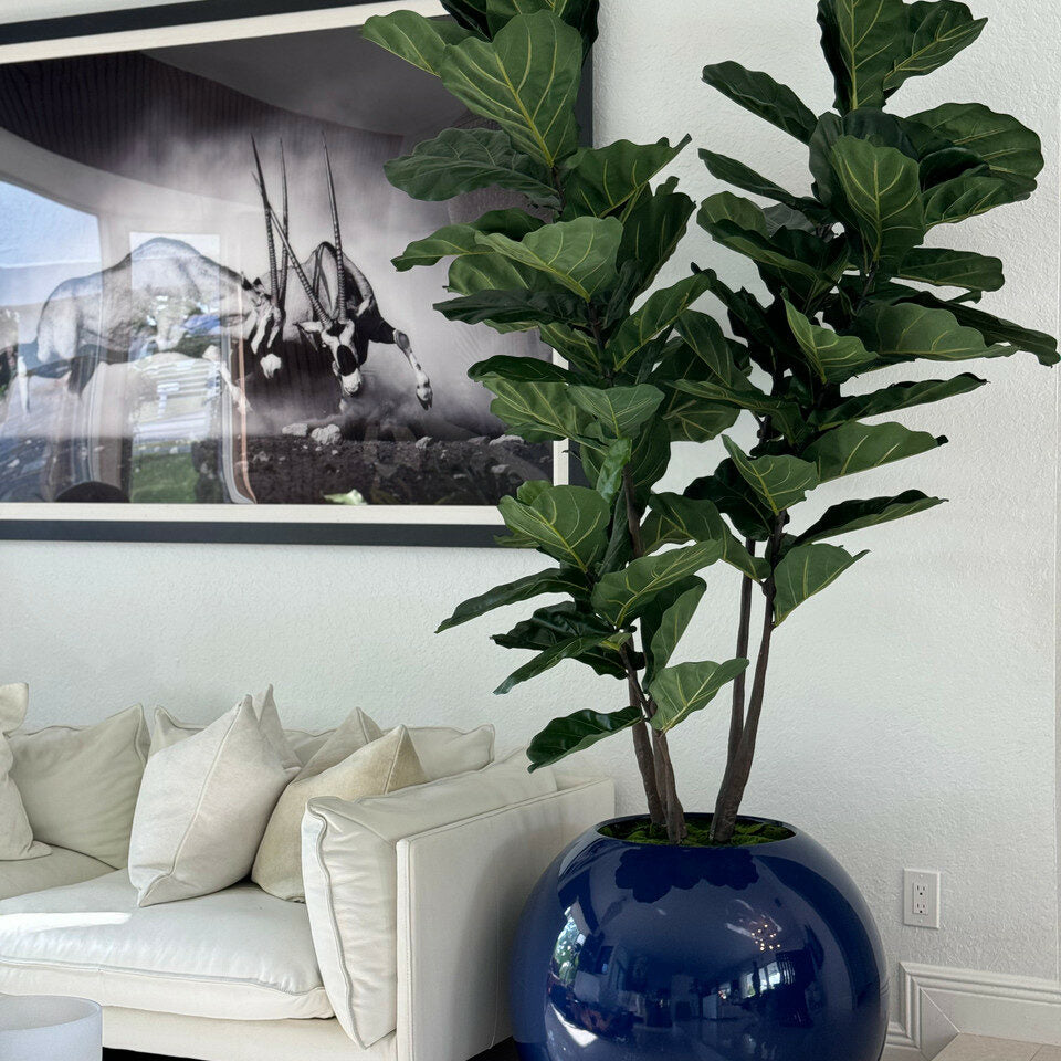 Luxury Artificial Fiddle Leaf Fig – Gloss Deep Blue Sphere Vase Edition