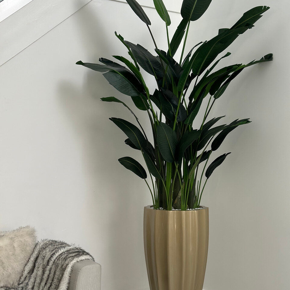Birds of Paradise in San Jose Fluted Planter – Champagne