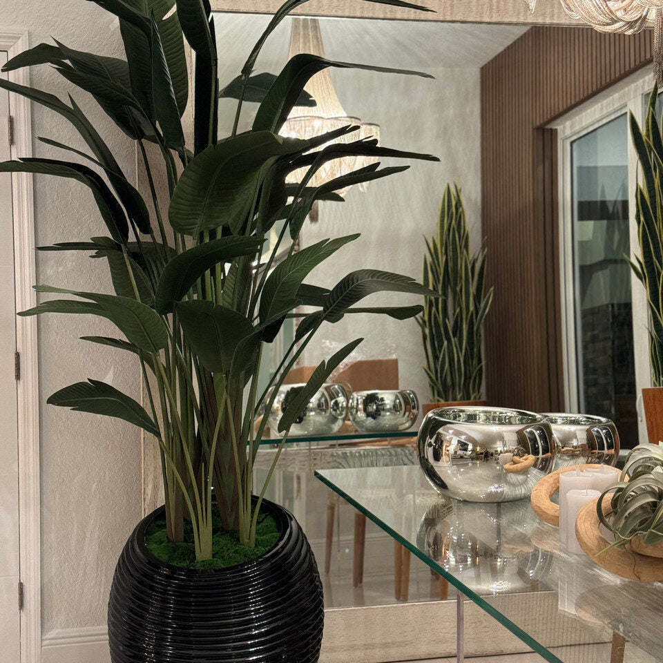 Grand Bird of Paradise in Black Ribbed Luxury Planter