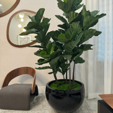Luxury Artificial Fiddle Leaf Fig – Black Gloss Sphere Vase Edition