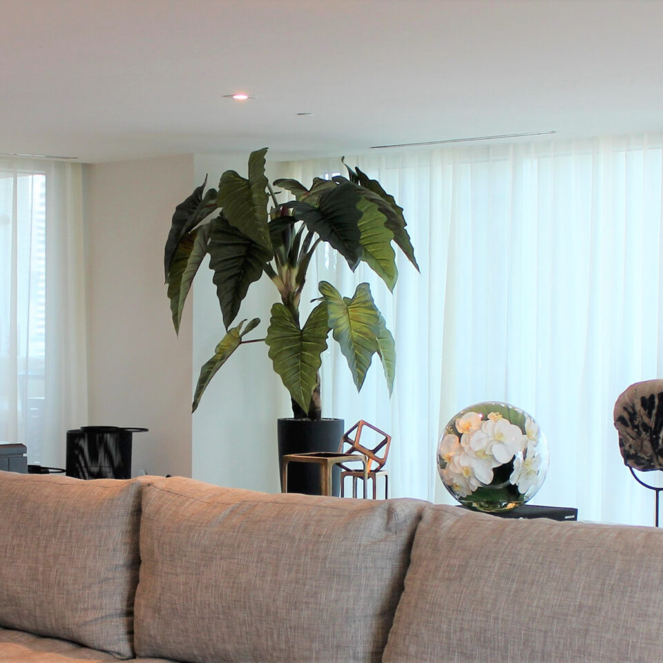 Luxury Artificial Elephant Ear Alocasia – Matte Black Tall Vase Edition