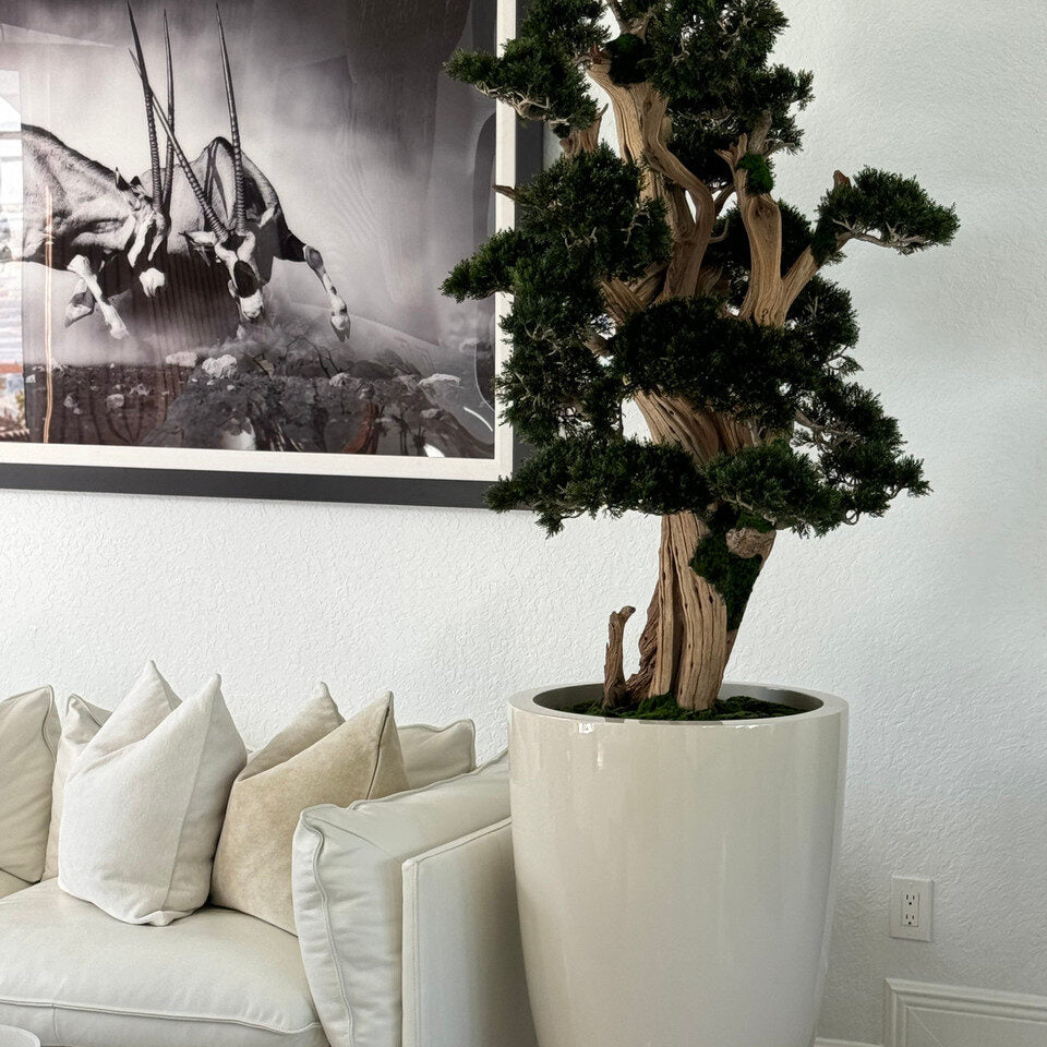 Luxury Artificial Ancient Bonsai Tree – Tall Gloss Ivory Vase Edition