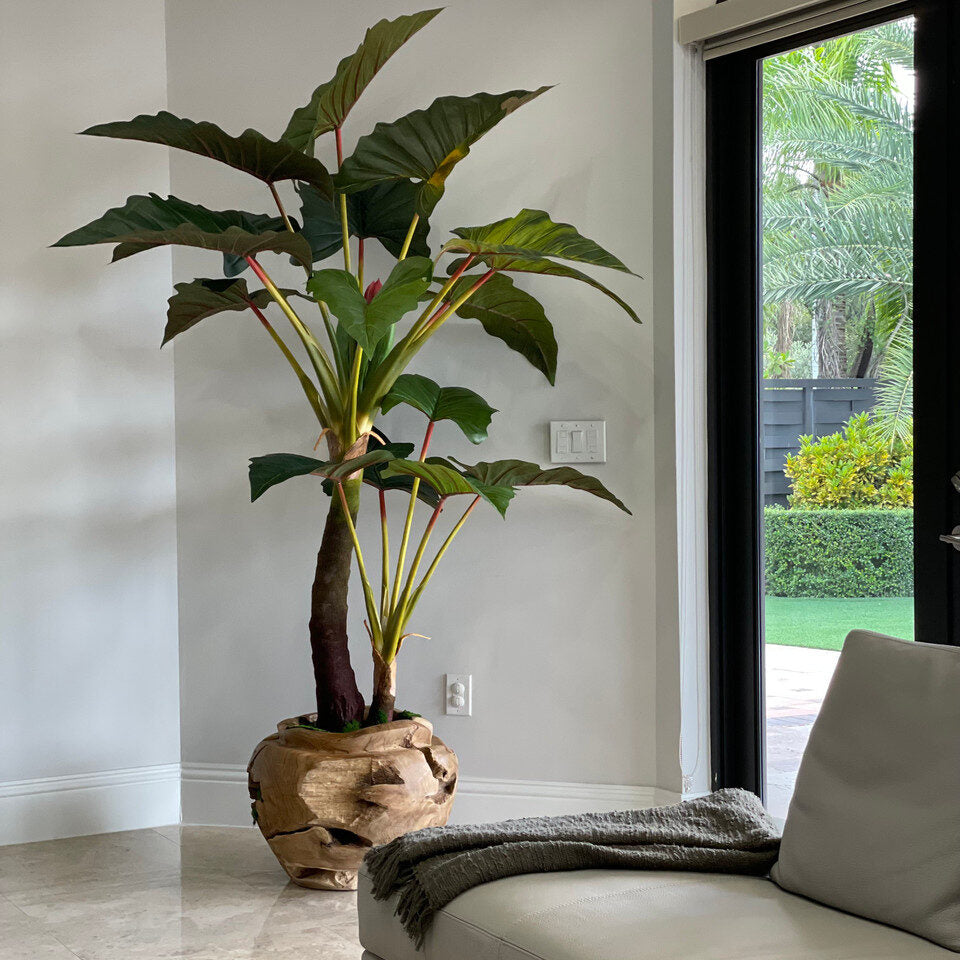 Luxury Artificial Alocasia Tree – Sculpted Teak Root Planter Edition