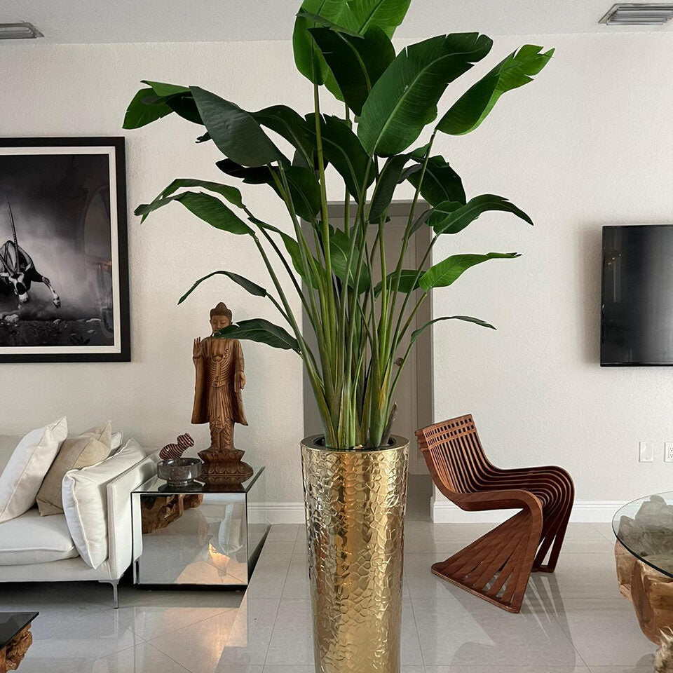 Bird of Paradise in Gold Hammered Planter