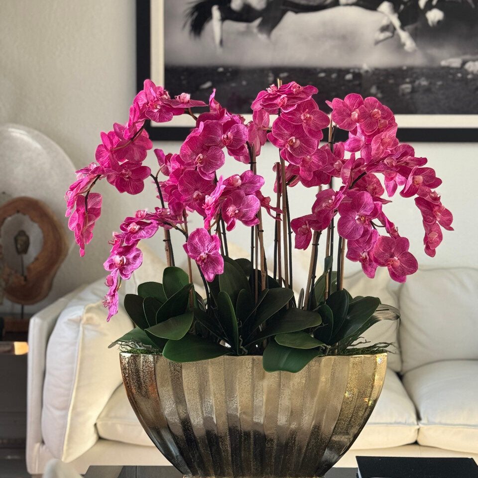 Fuchsia Phalaenopsis Orchid Luxury Arrangement in Gold Fluted Planter