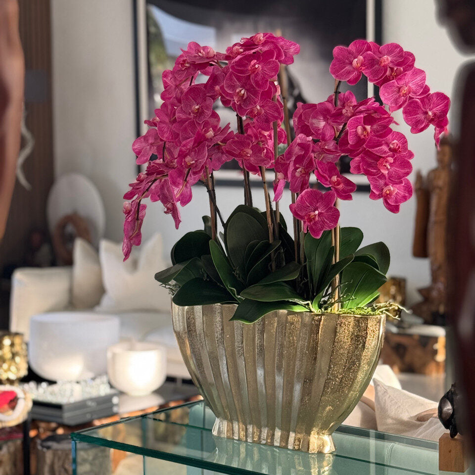 Fuchsia Phalaenopsis Orchid Luxury Arrangement in Gold Fluted Planter