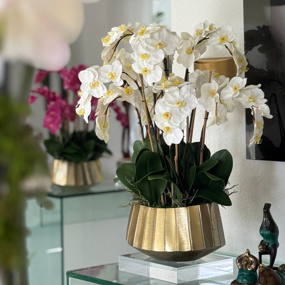 White Phalaenopsis Orchid Elegance in Gold Fluted Planter