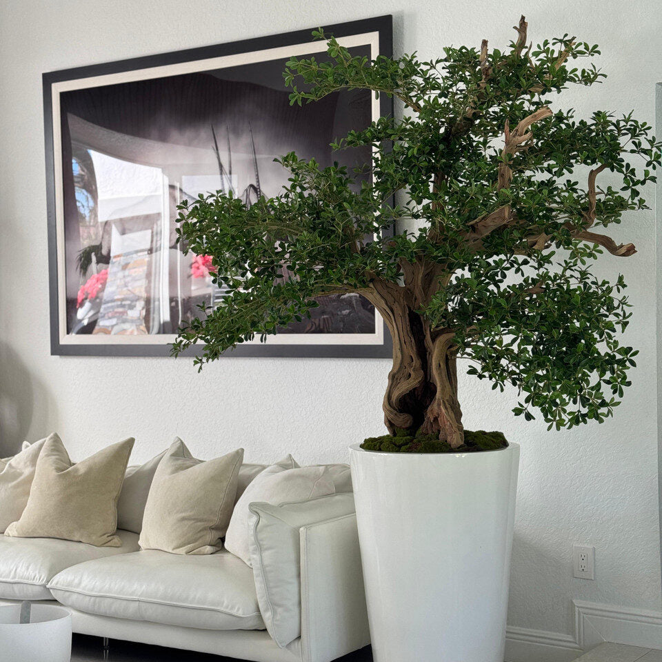 Sculptural Bonsai-Style Green Tree in Tall White Gloss Planter