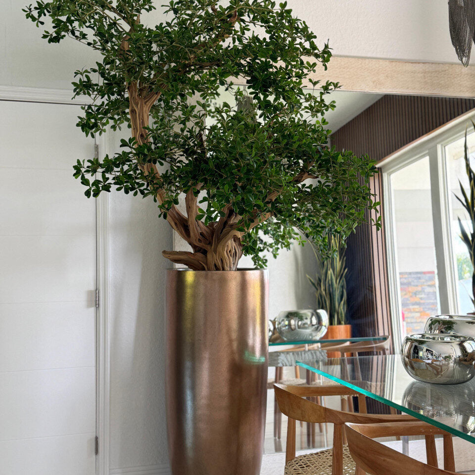 Grand Sculptural Bonsai Tree in Tall Metallic Bronze Vase