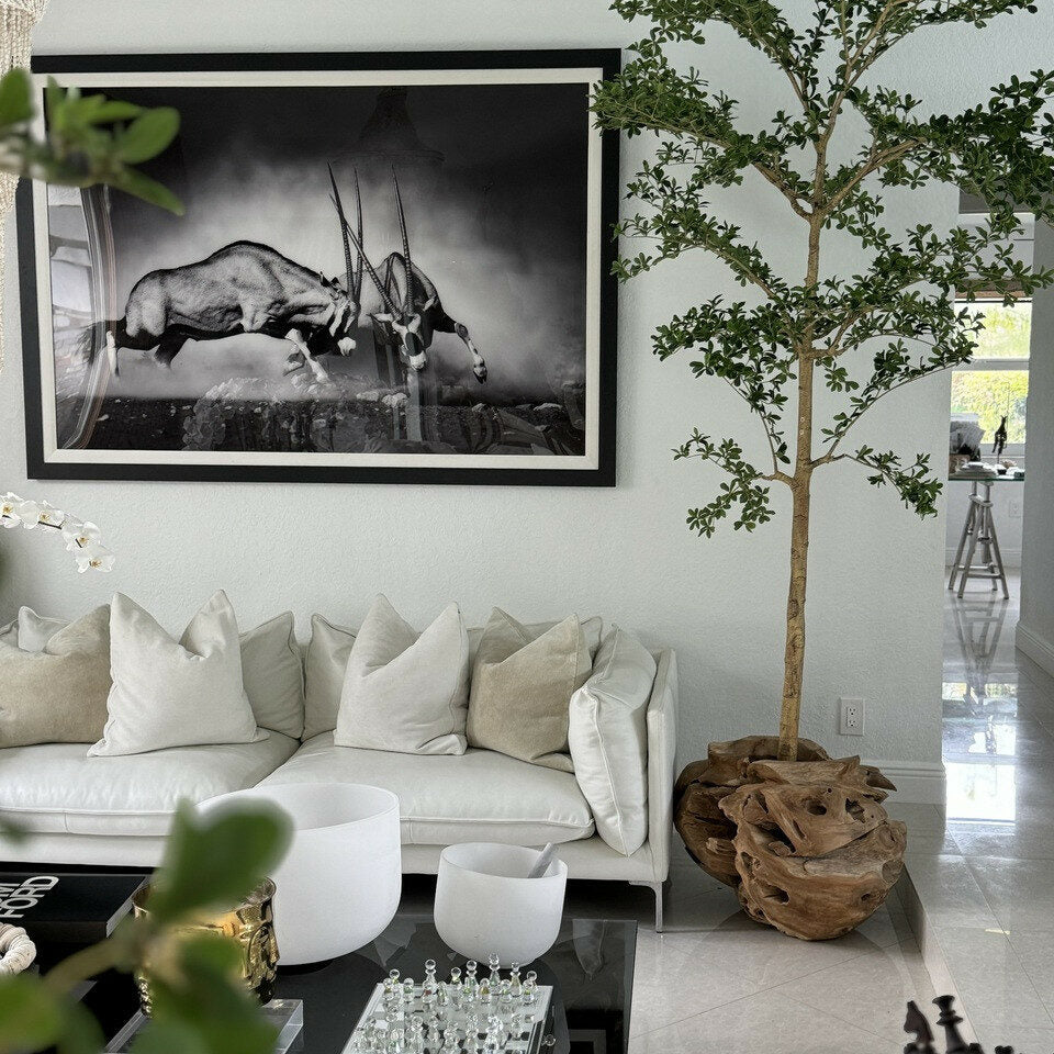 Luxury Artificial Boxwood Tree – Mounted in Organic Teak Root Vessel