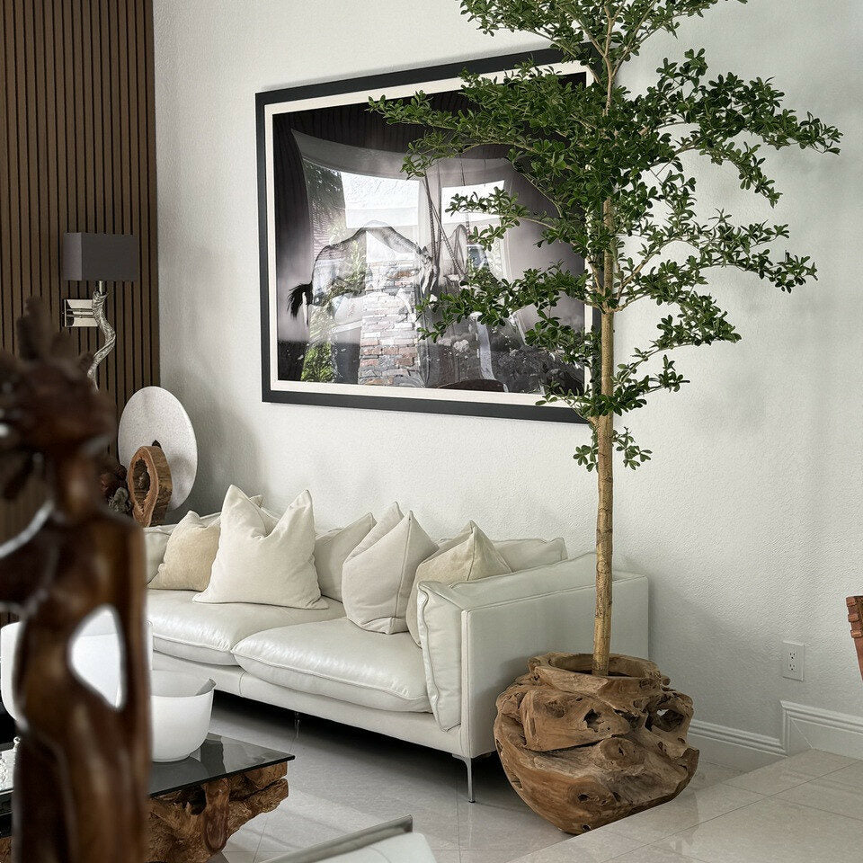 Luxury Artificial Boxwood Tree – Mounted in Organic Teak Root Vessel